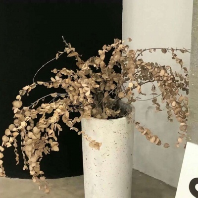 兽设晴天场景绘制福瑞群